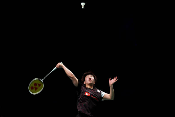 强力羽毛球拍5501价格对比：线上vs线下购买哪个更优惠？