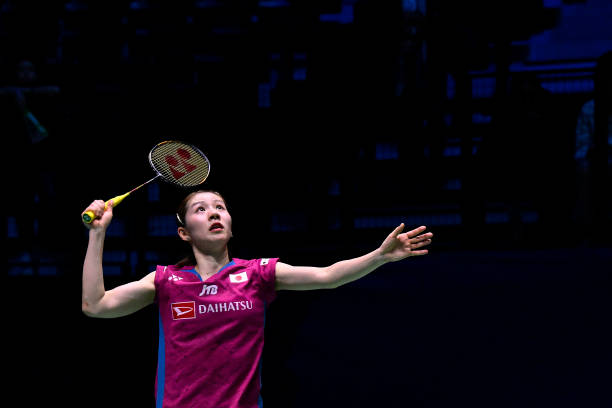 海豚标志羽毛球拍盘点：哪些品牌值得入手？