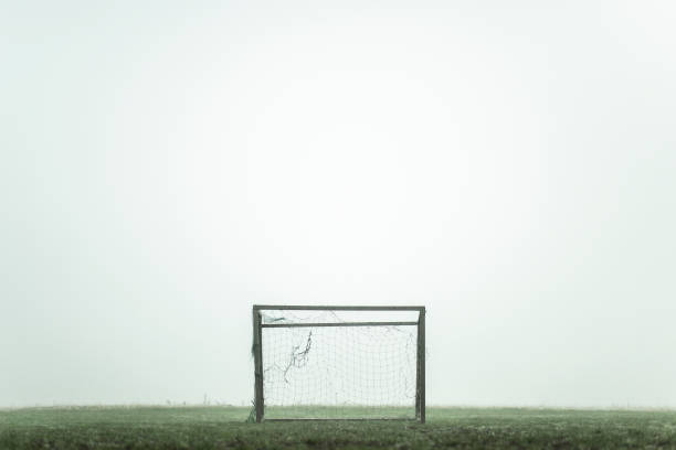 足球射门百科全书:从抽射到弧线球的完整分类与技巧