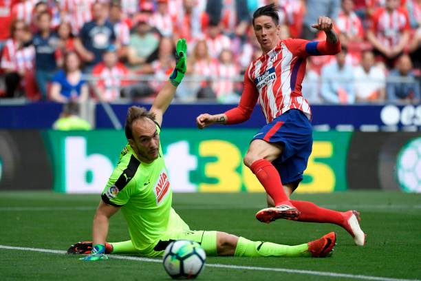 （适用于科普、入门指南类内容）