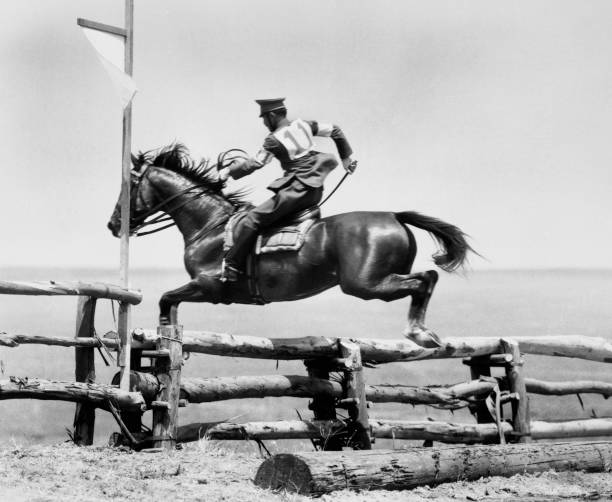 东京奥运女乒四强名单出炉，陈梦、孙颖莎领衔