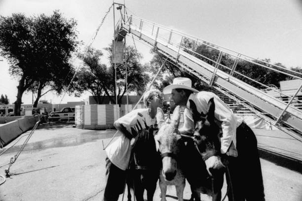 2025全国游泳U系列比赛总决赛将在北京举行