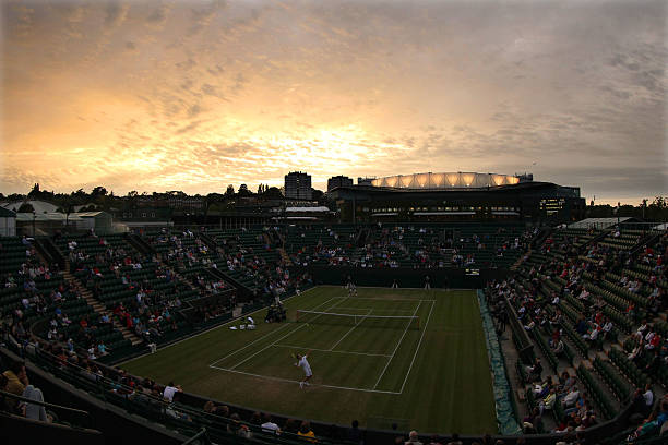 王雅繁：中国女子网球的未来希望