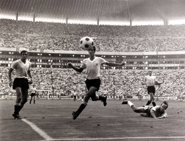 2020乒乓球世界杯：张本智和与伊藤美诚的挑战之路